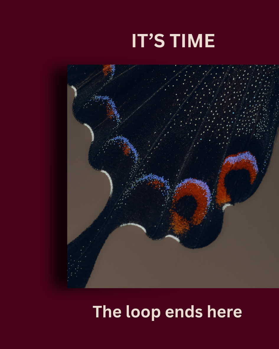 Close-up of a butterfly with wings open, representing transition and resilience